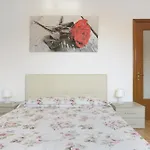 Il Noce - Vicino Chiavari Leivi